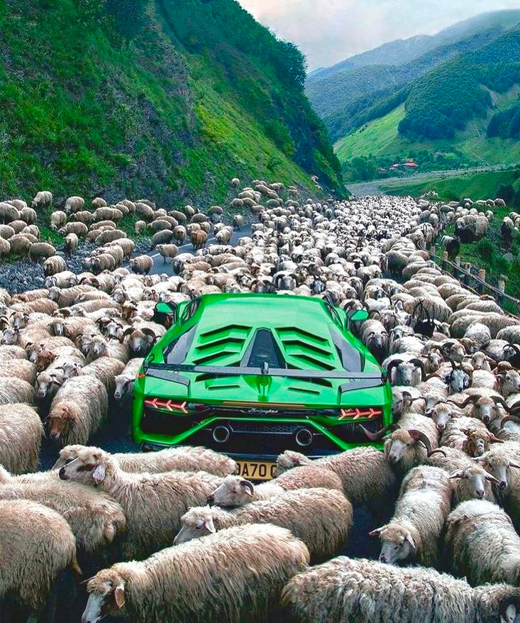 Cars