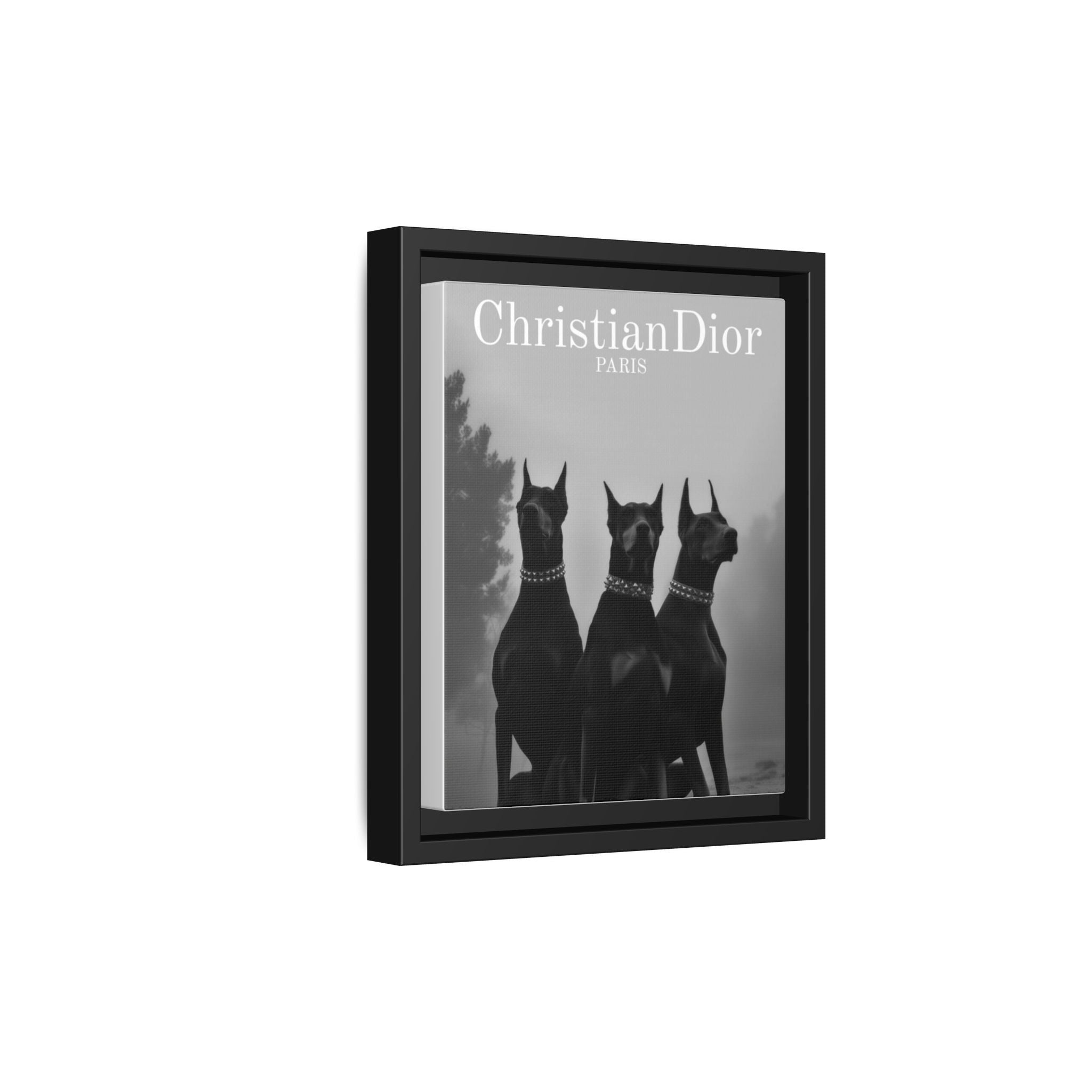 Dior Paris