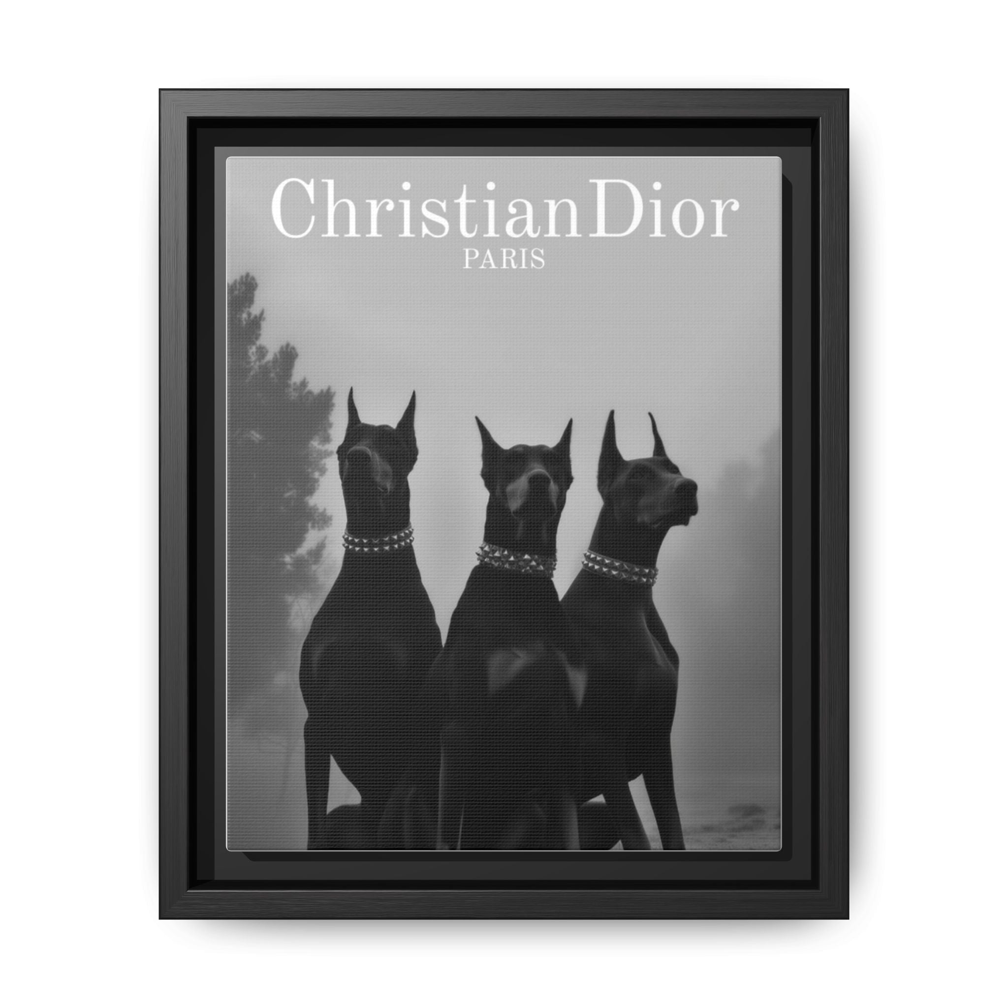 Dior Paris