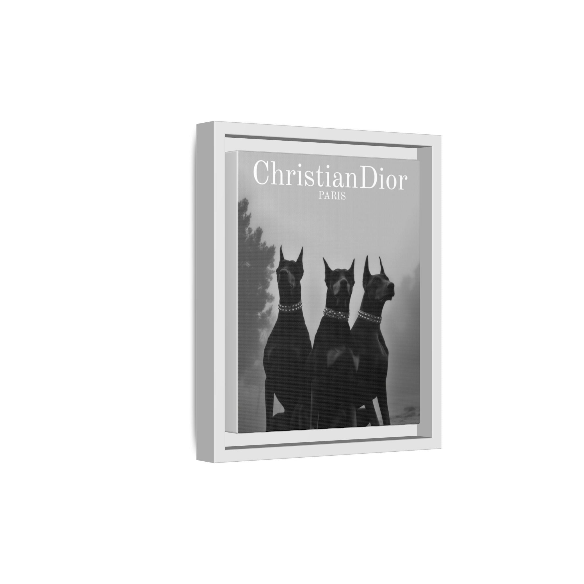 Dior Paris